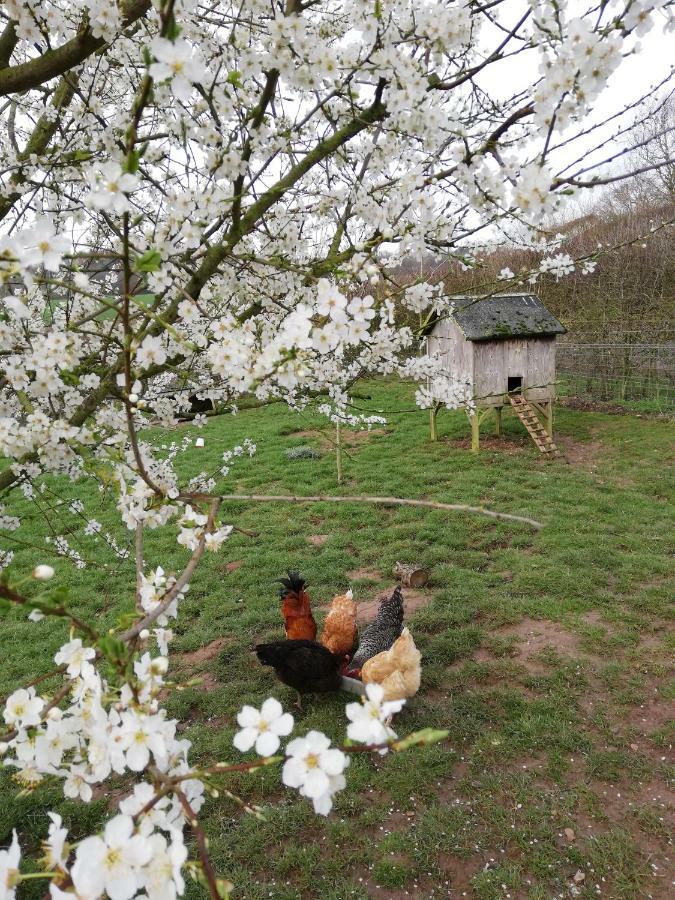 ホニートン Odle Farmヴィラ エクステリア 写真